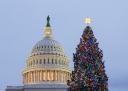 National Christmas tree